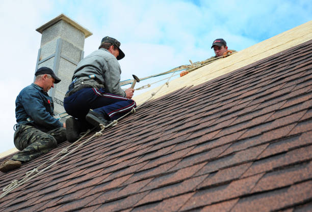 Best Roof Gutter Cleaning  in Collinsville, OK